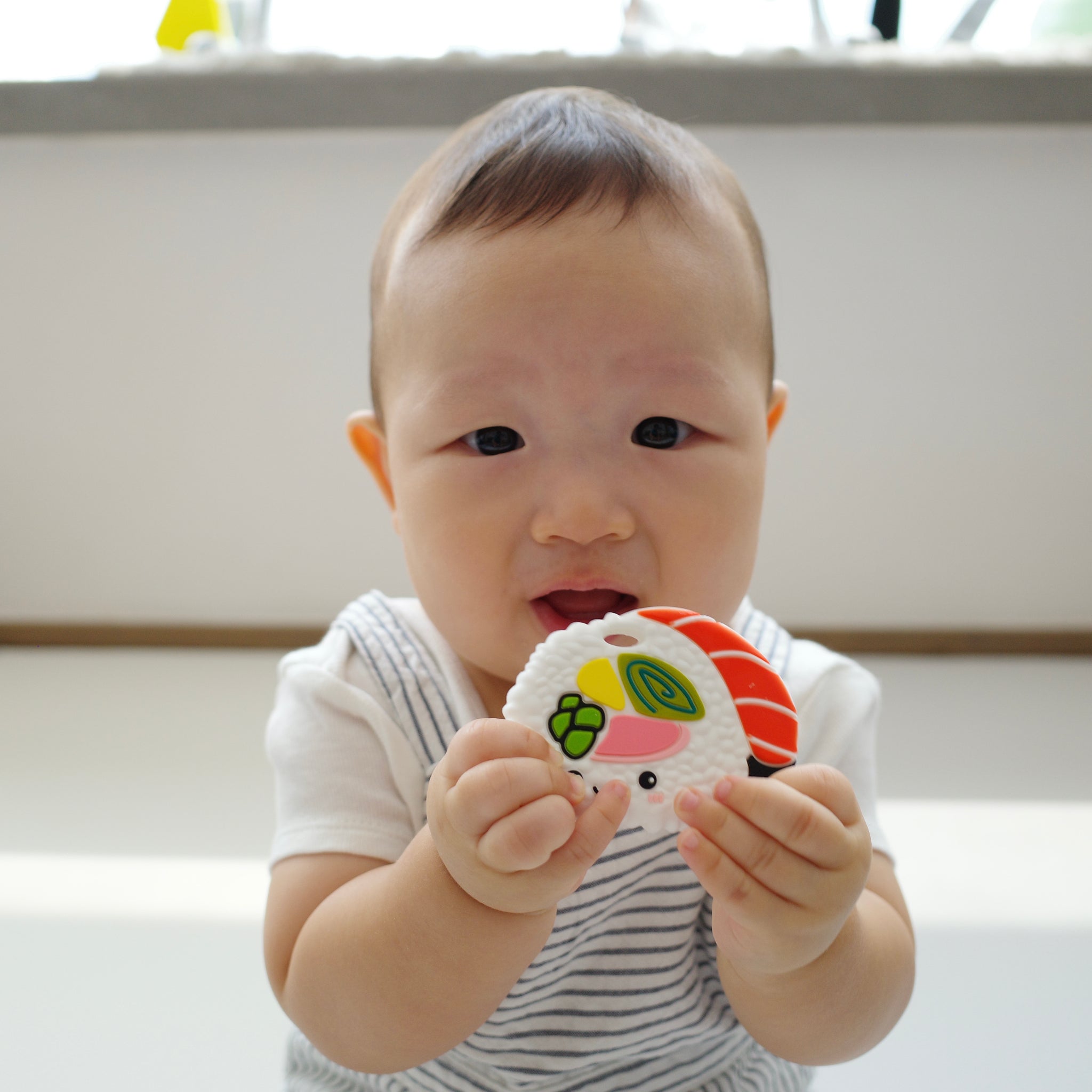 Sushi Rollz Teether – Shop Evil Twin